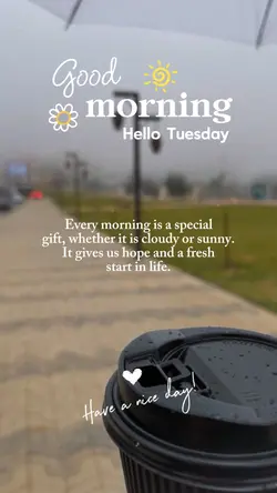 Hello Tuesday 