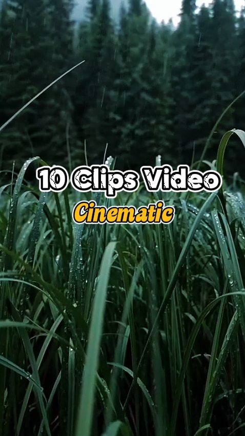 10 Clips de Video