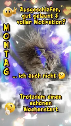 Montag/GM