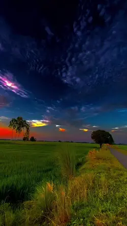 Magic View