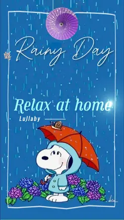 rainy day 雨音