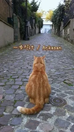 一歩だけ / Arikasan