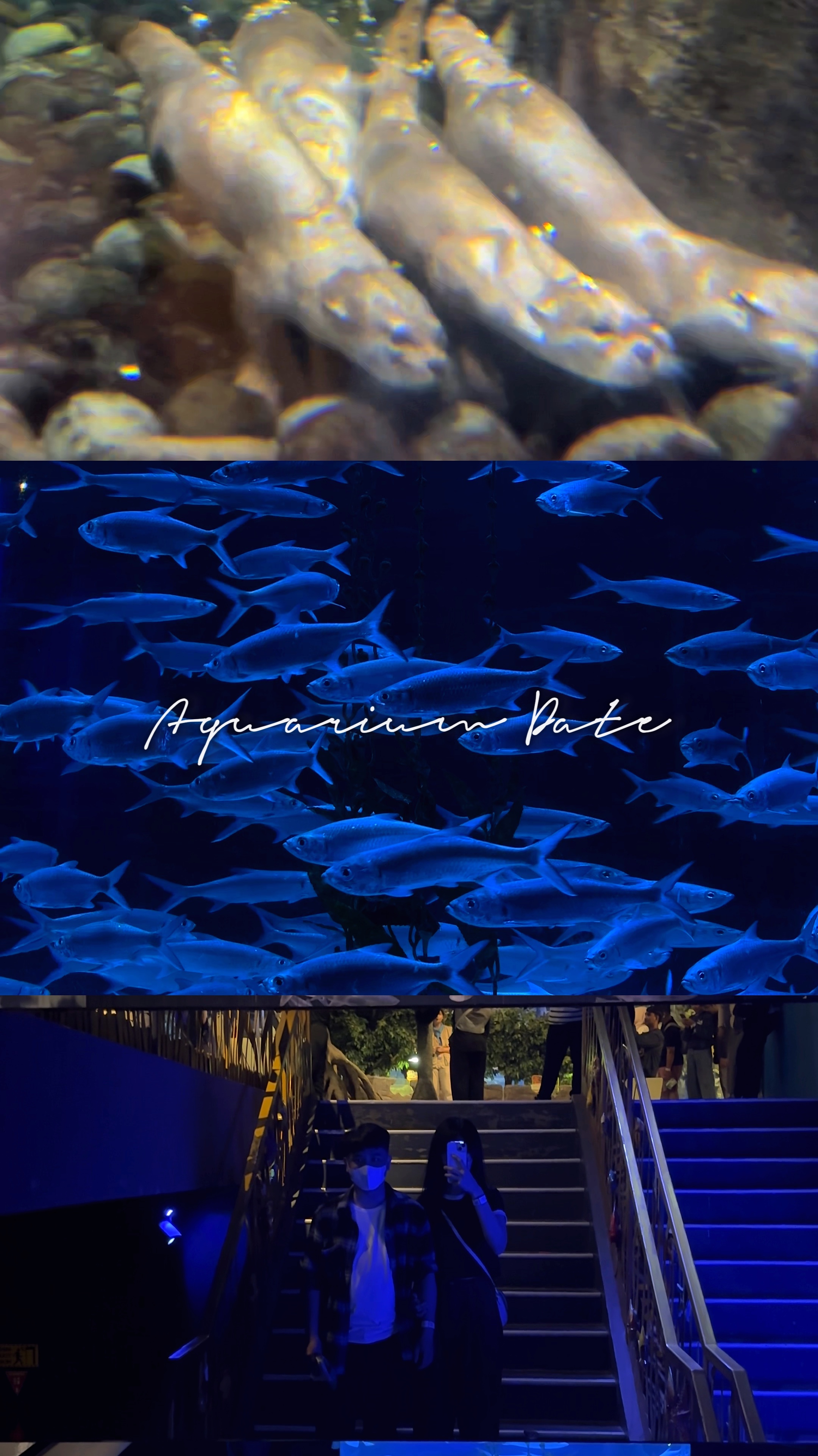 mini vlog aesthetic 