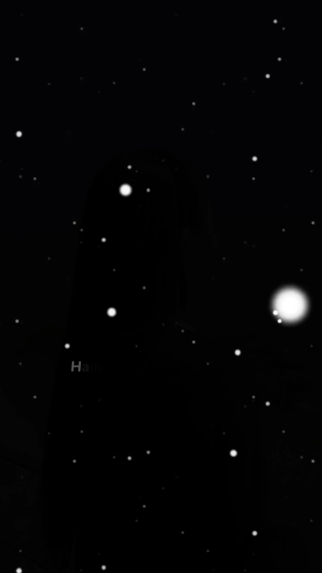 Ham Medium Class Log