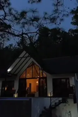 Forest calm