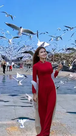 Ghép Ảnh Cảnh Chim 