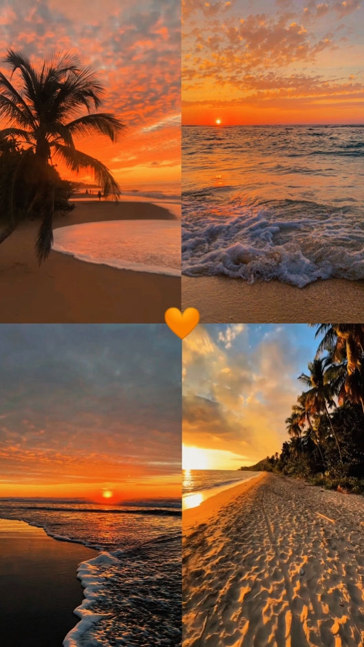 2 vídeos e 2 fotos 
