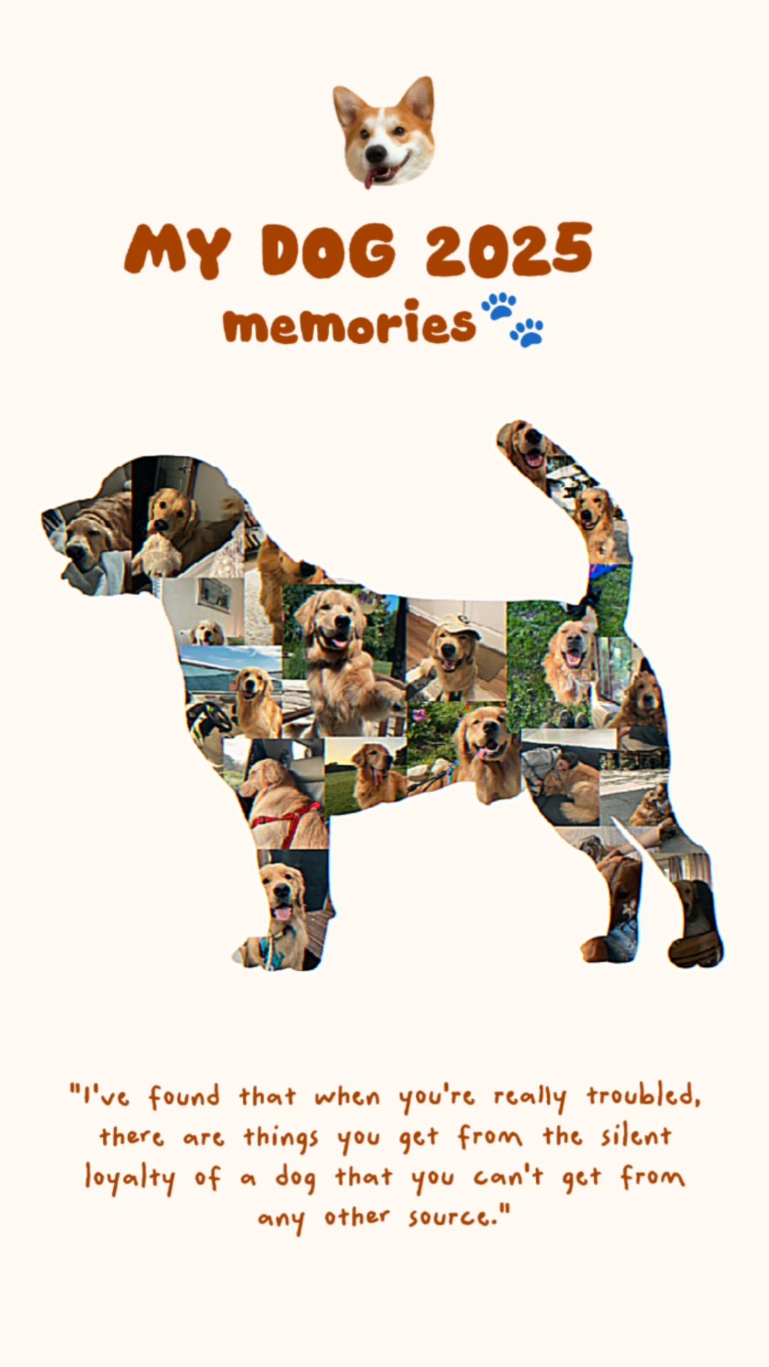 Minhas memórias de cachorro 