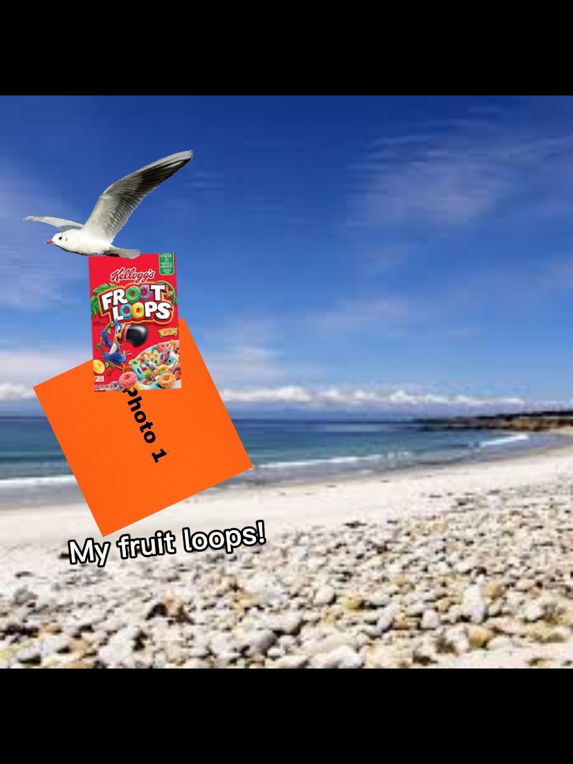Trend Ustası Editörü 