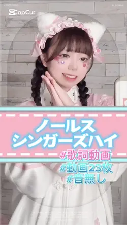 ノールス/シンガーズハイ(音無し)