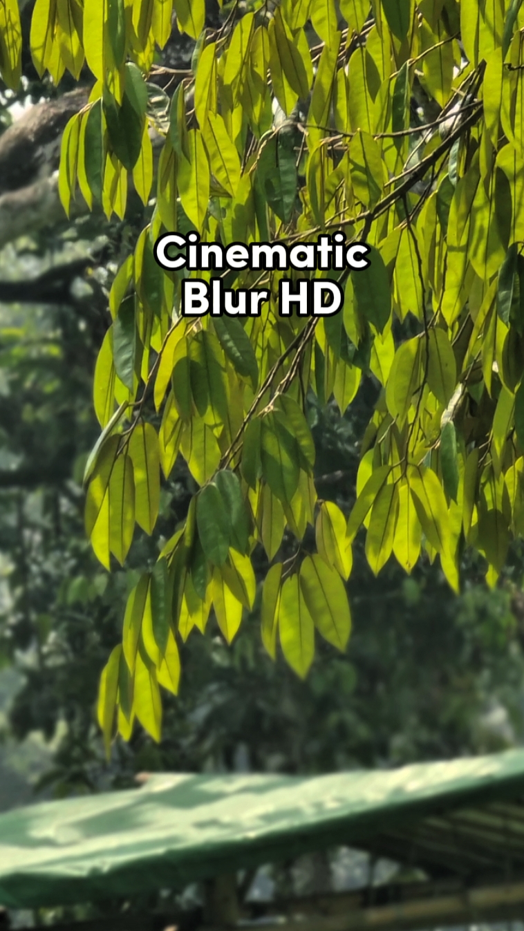 cinematic blur HD