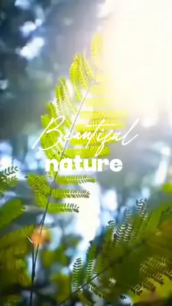 Beautiful Nature