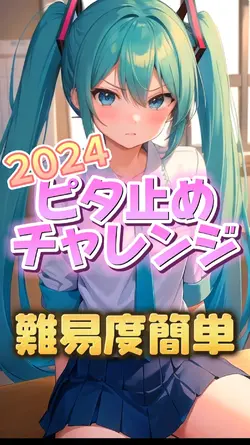 ピタ止めチャレンジ2024