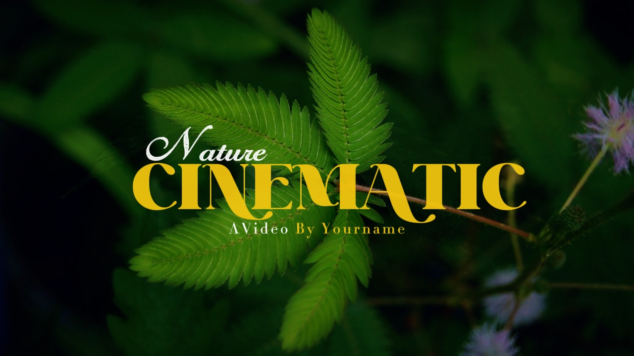 kalikasan ng cinematic