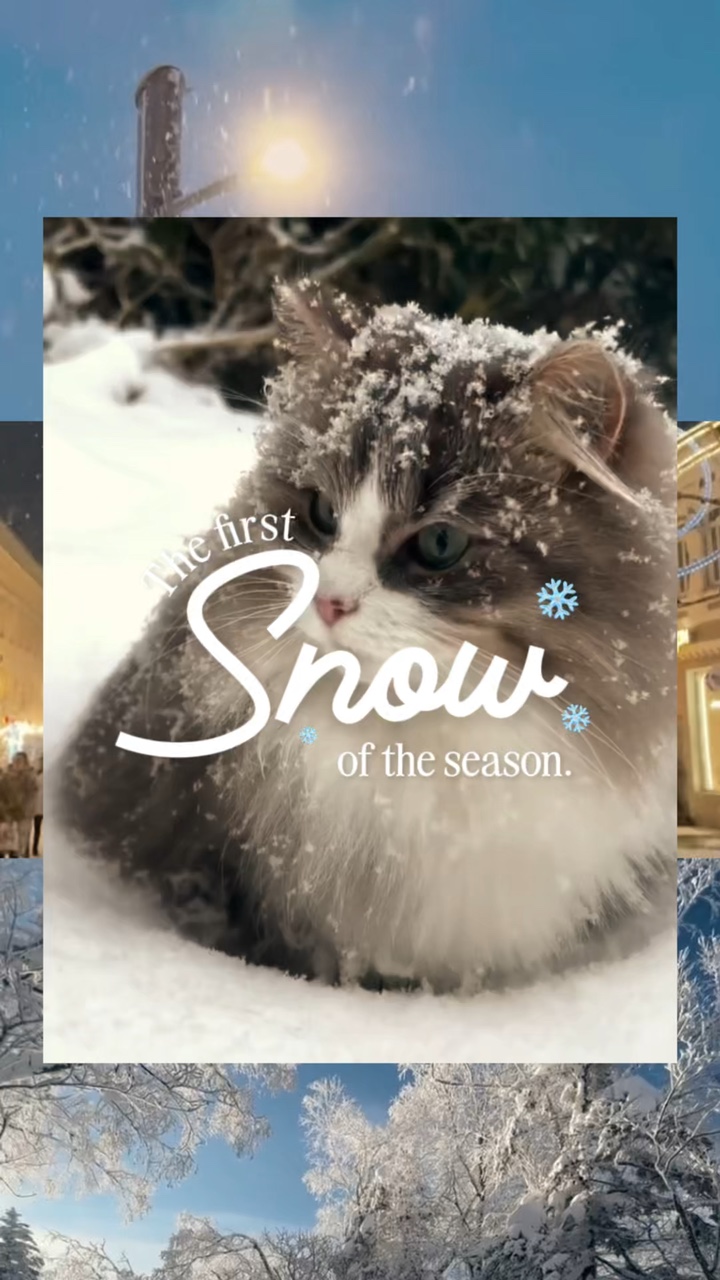 First Snow❄️☃️🌨️