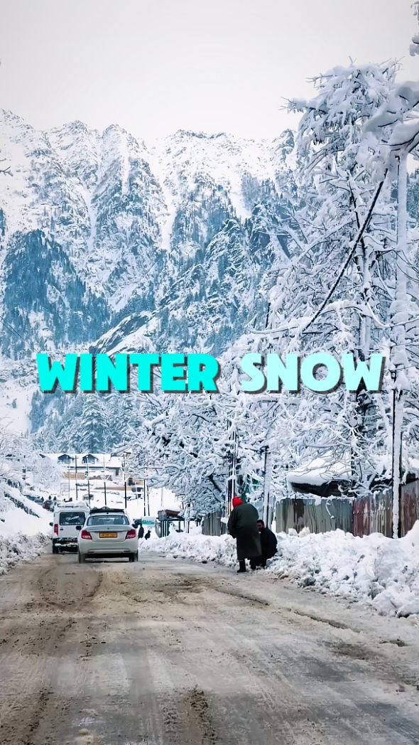 NEIGE D'HIVER