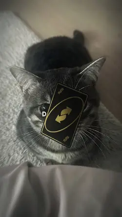 Tren uno