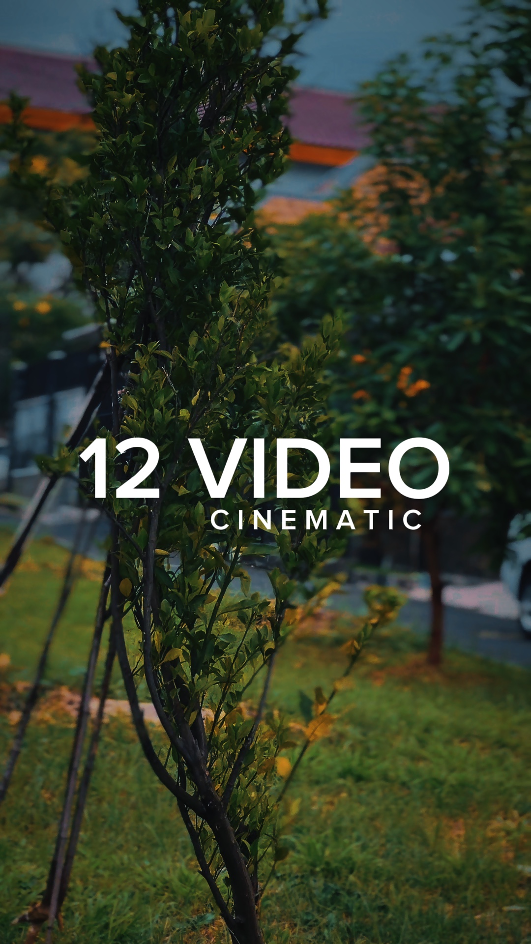 Cinématique 12 Vidéo
