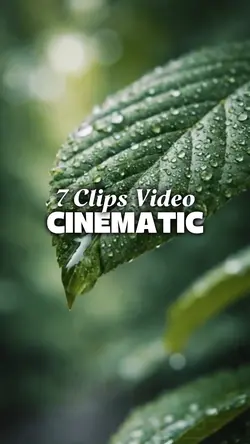 7 CLIPS VIDEO