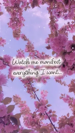Manifest everything 