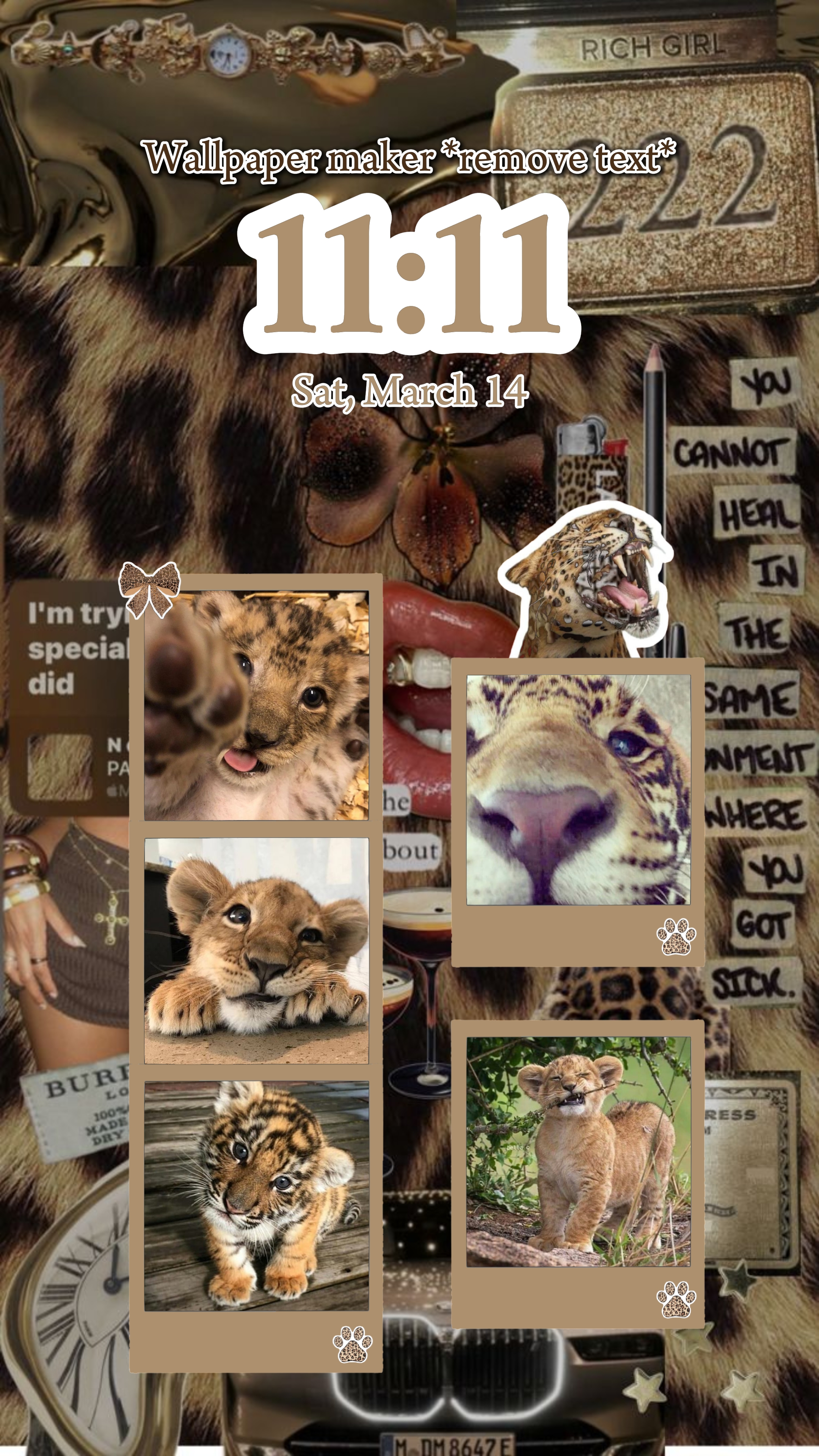 Cover Picture