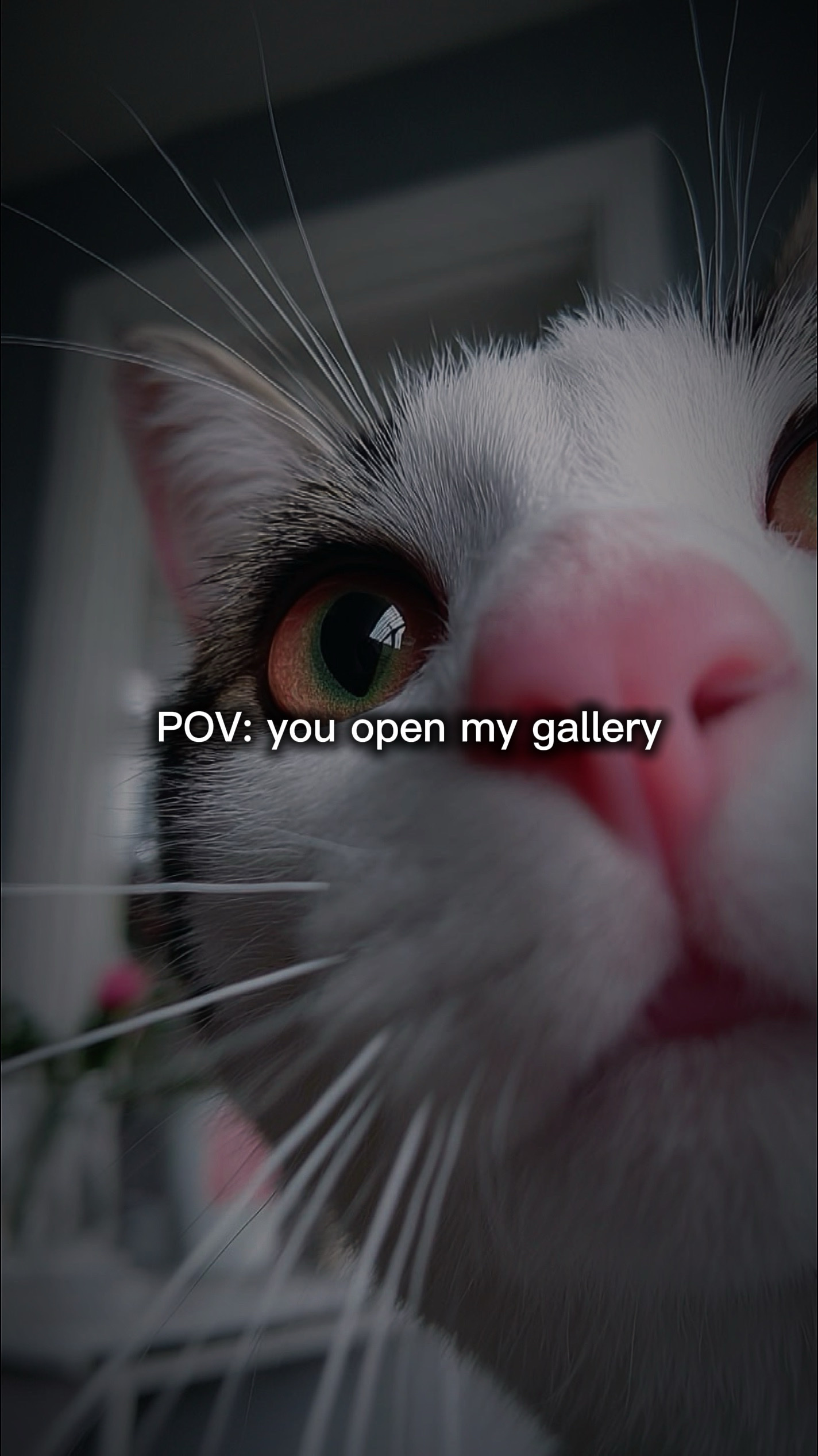 U open my gallery
