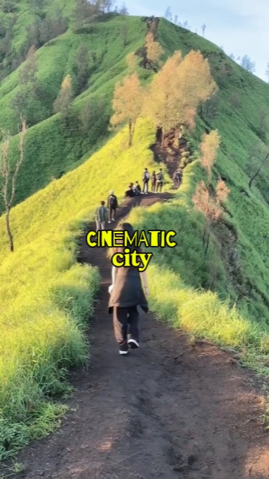 KINEMATISCHE STADT
