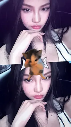 Kicau Mania Kucing