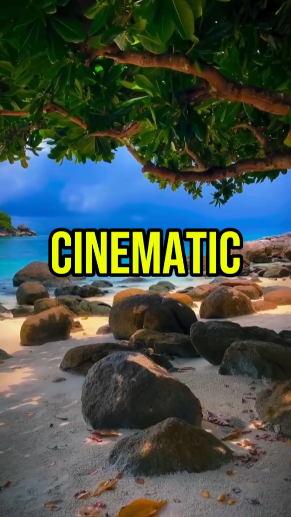 CINEMATIC