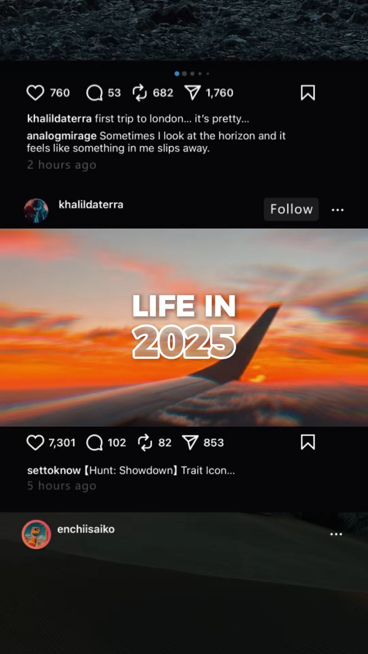 2025년의 삶 덤프 IG
