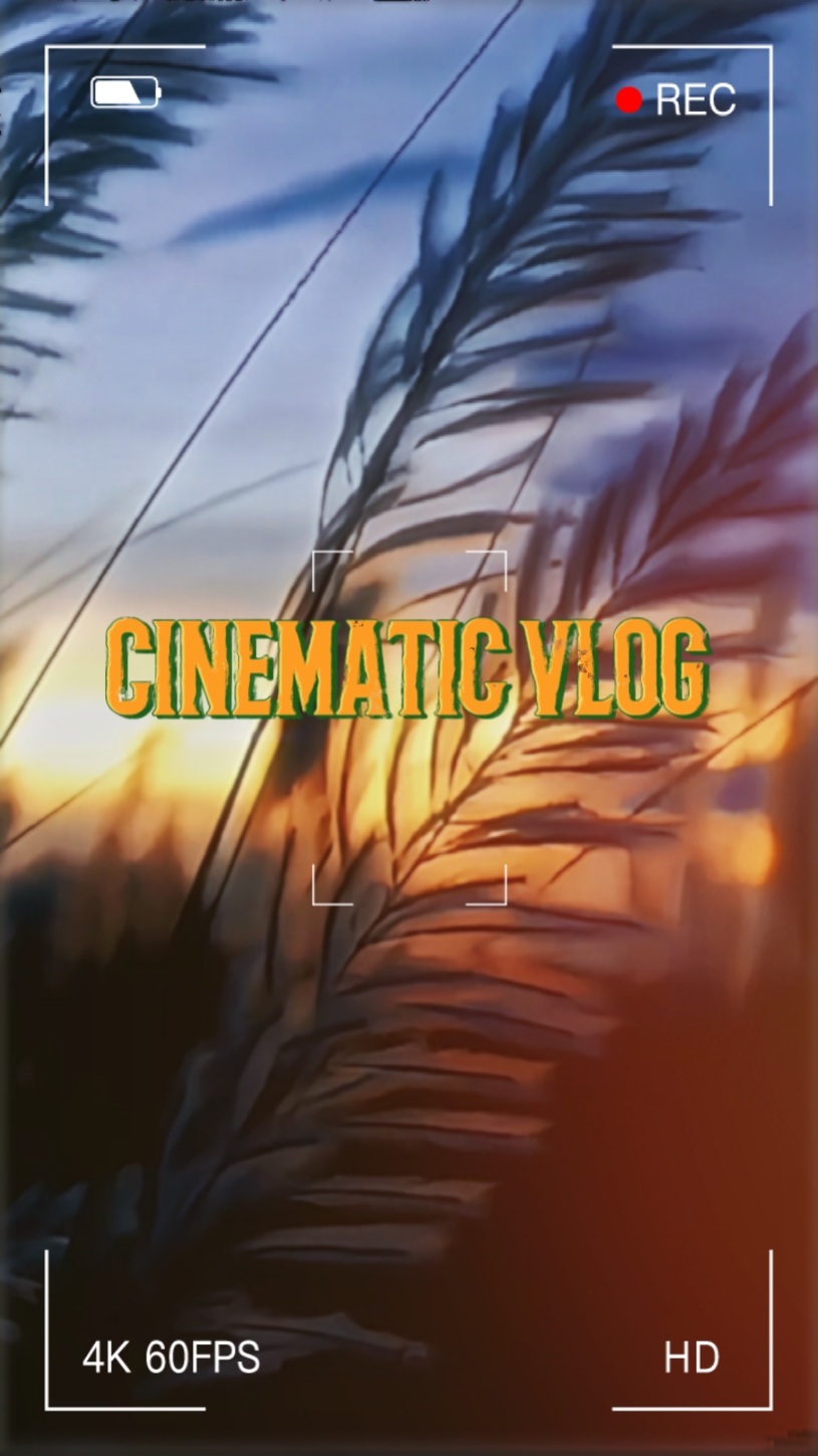 Vlog Sinematik
