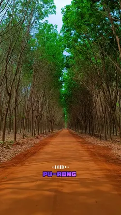 ដំណែងស្នេហ៍