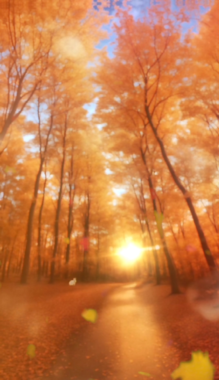Otoño De Hojas De Otoño