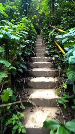 Viagem Trilha Recap🎯