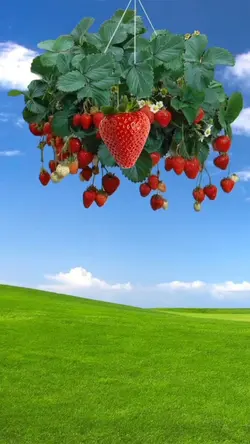 FUNNY HAPPY BIRTHDAY