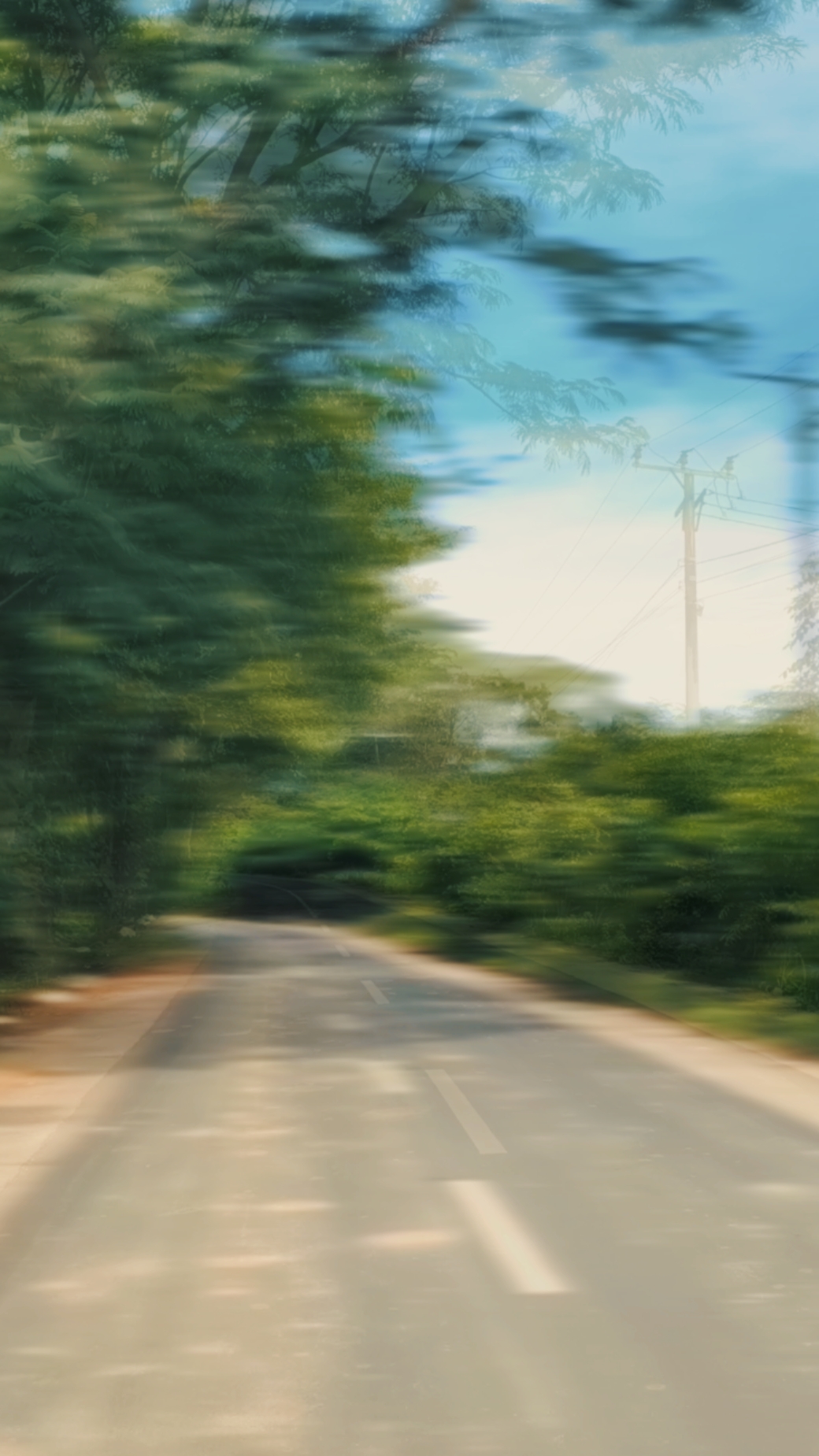 Natur slow mo