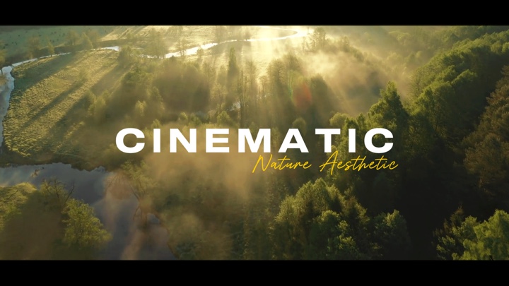 Nature cinématographique