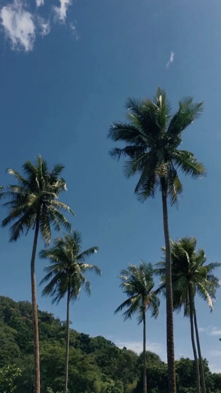 Kalikasan