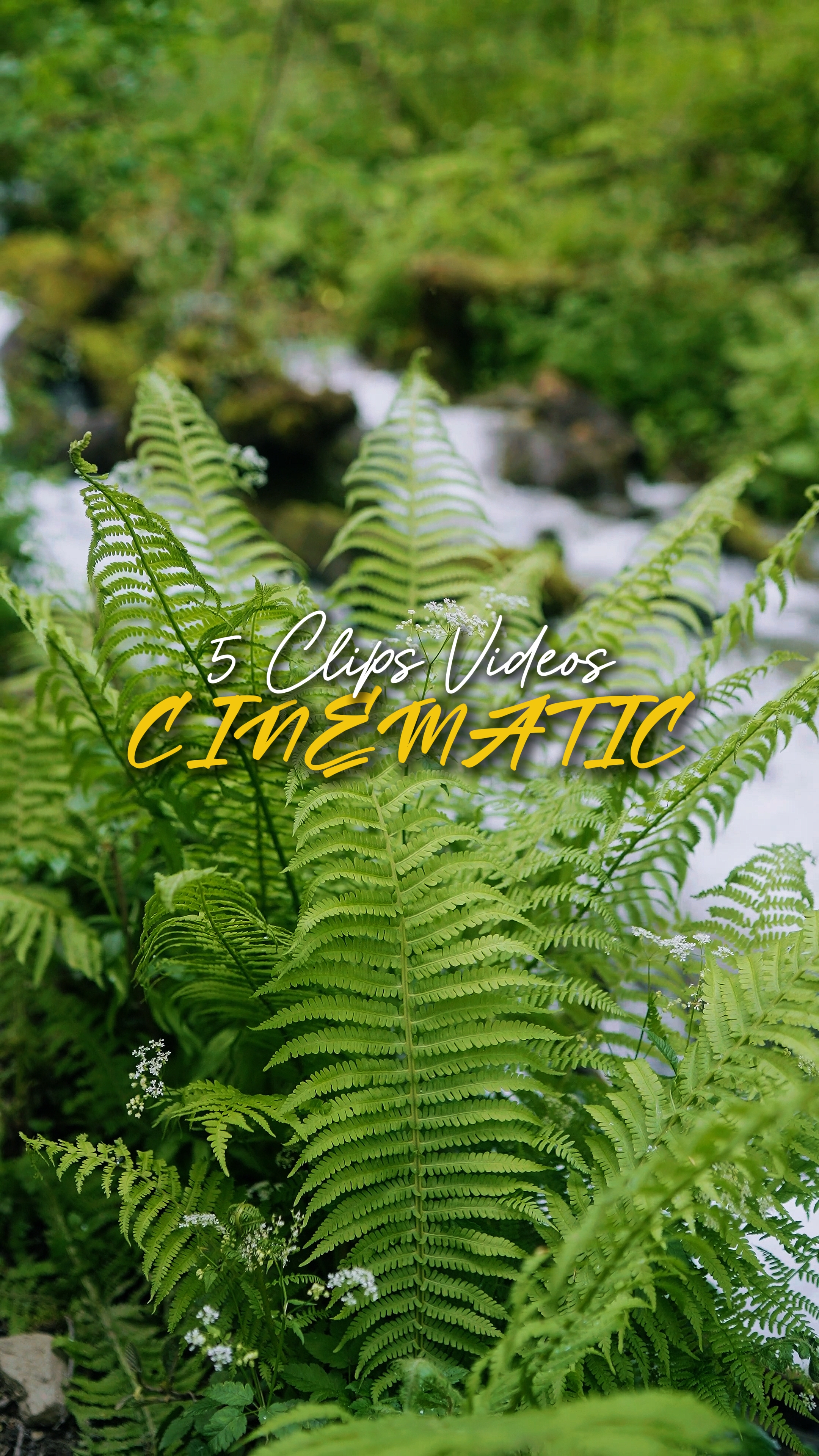 Cinematic 5 Videos