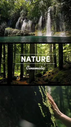 Nature Cinematic