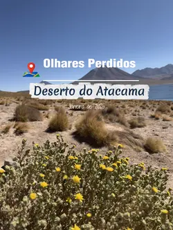 Viagem , Atacama 