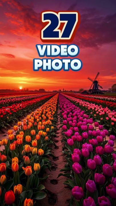 27 vídeos ou fotos 