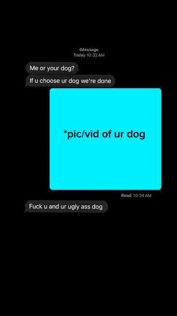 * foto / video de tu perro
