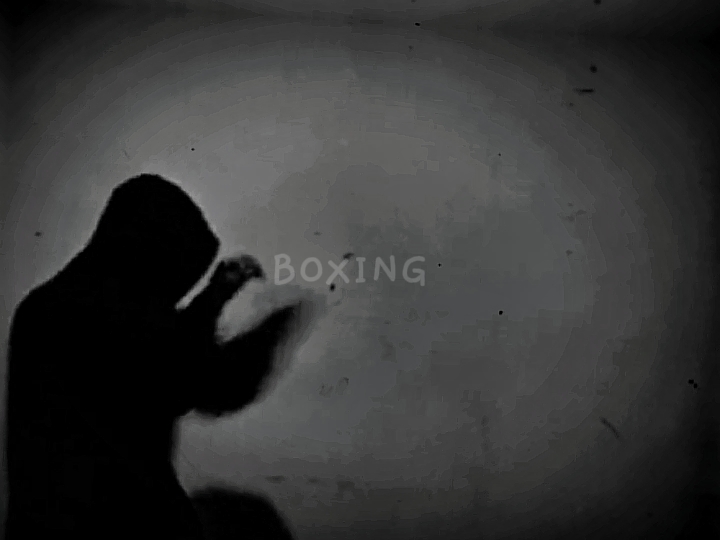 Tendencia de boxeo