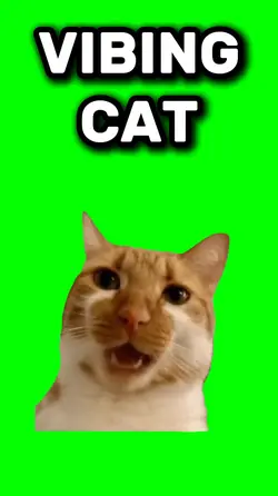Vibing cat