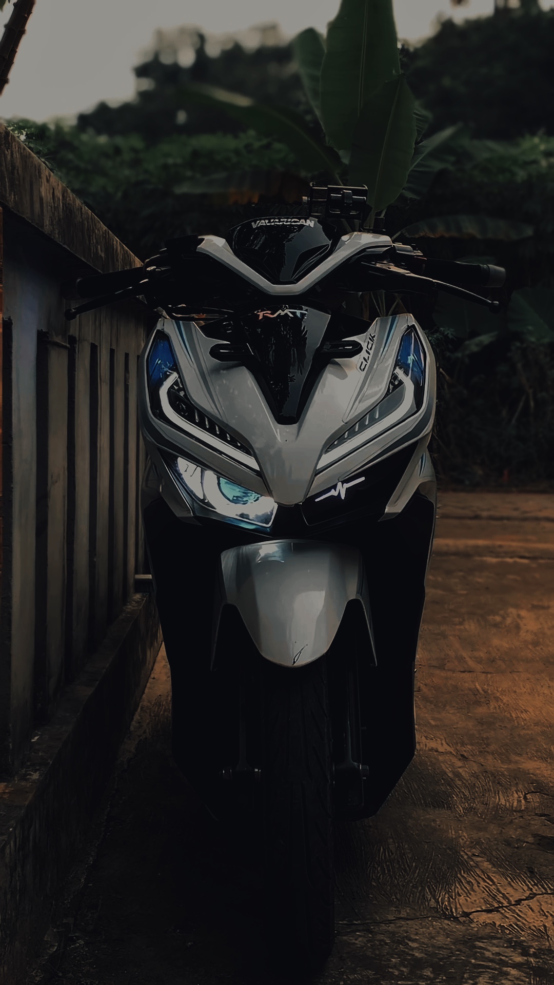 Cover Picture