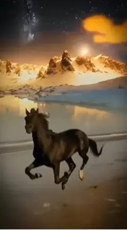 ๐ Arabian wind ๐
