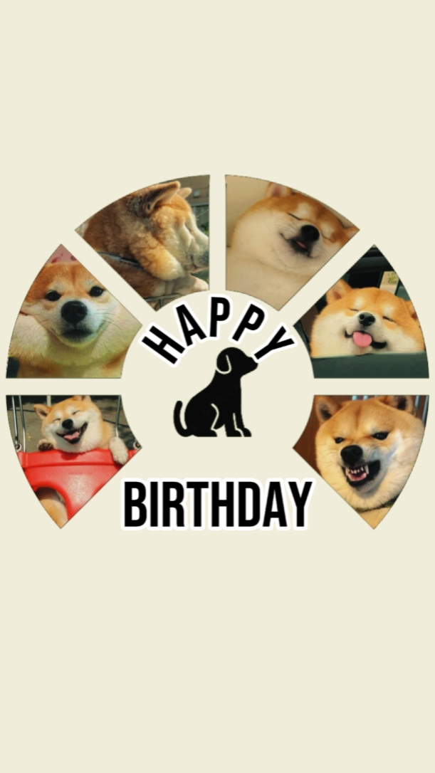 BIRTHDAY DOG
