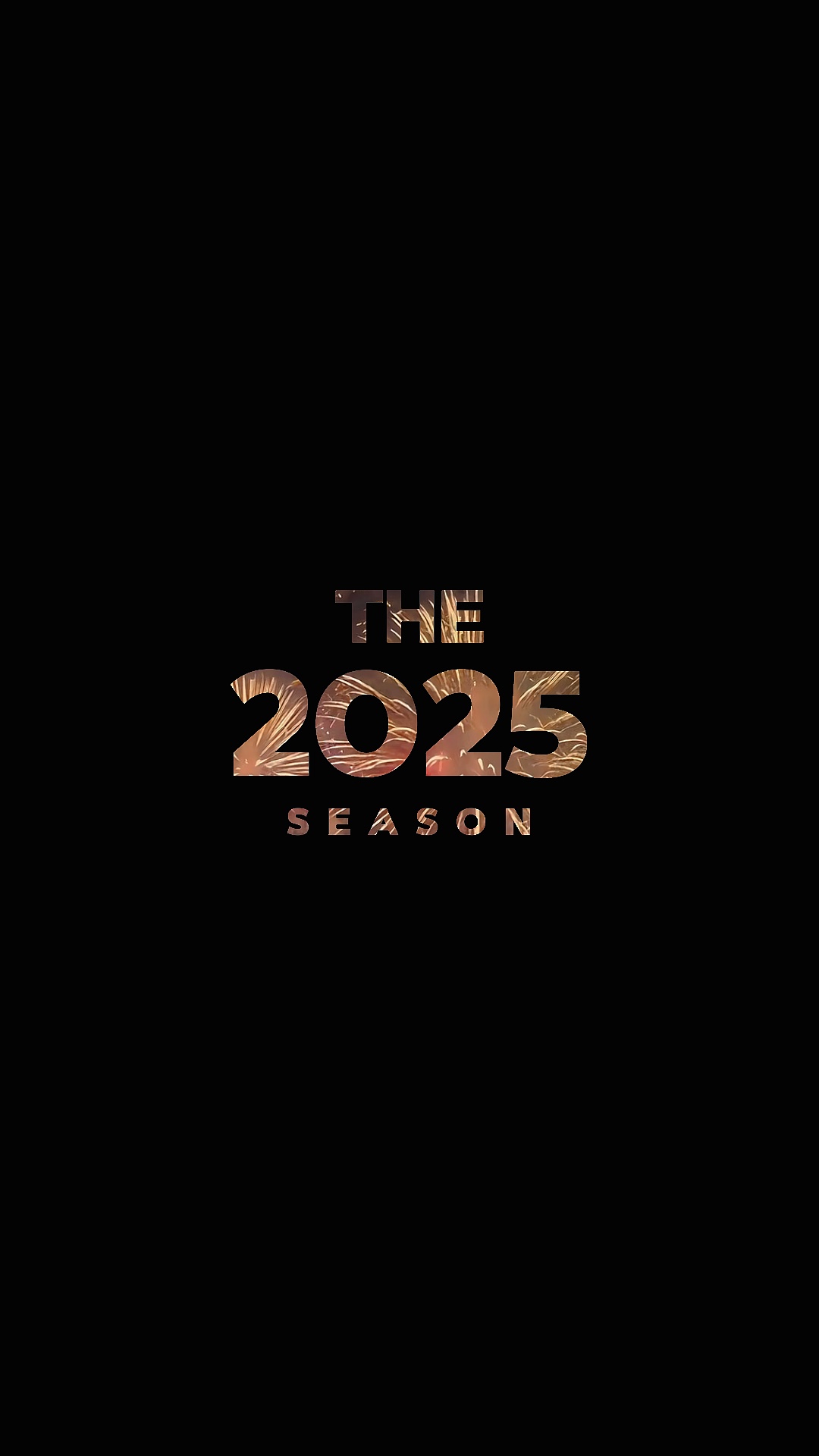 RESUMEN DE 2025