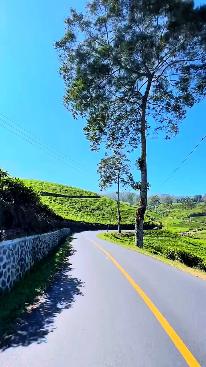 Viaje diario por carretera